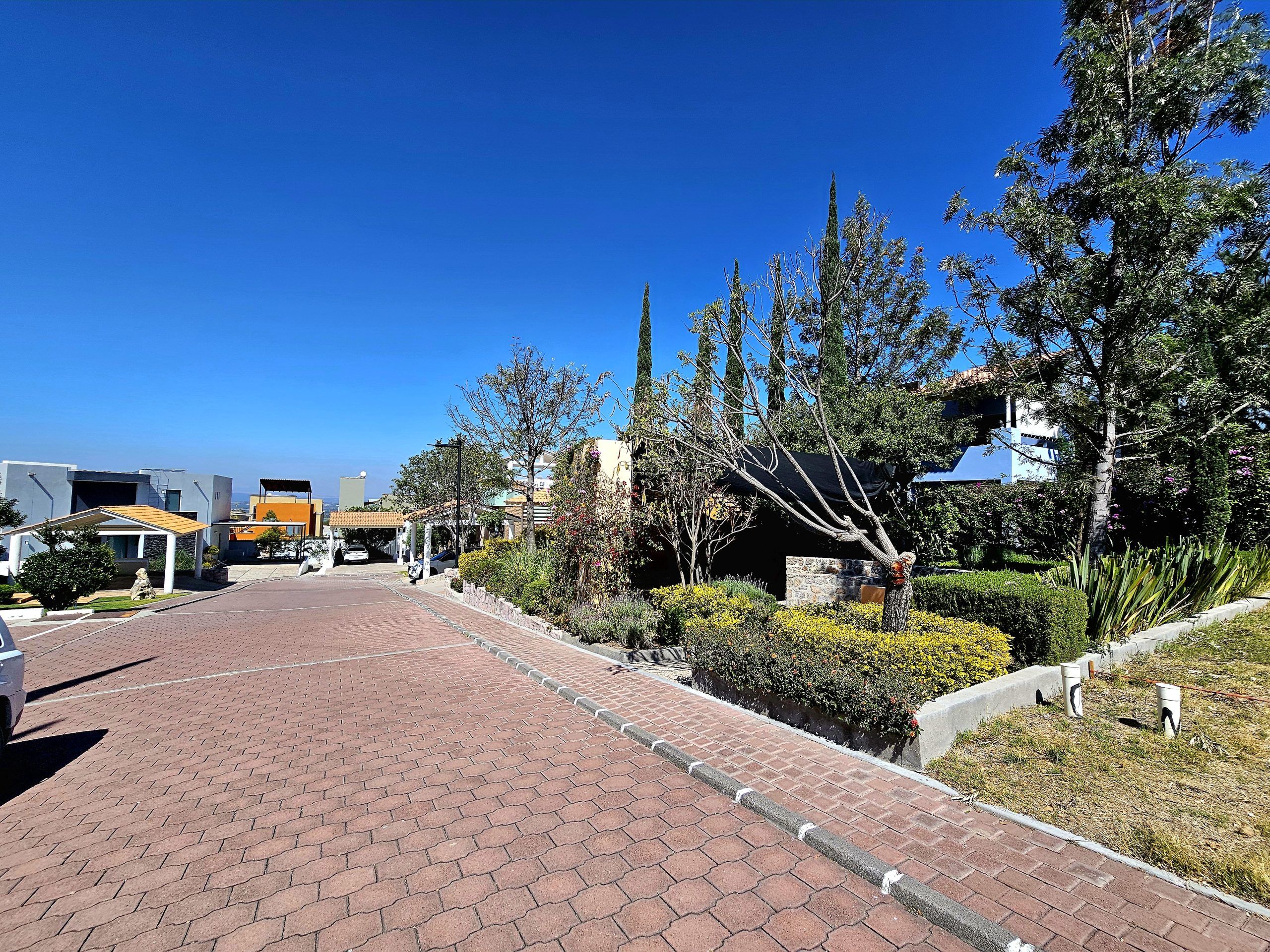 Lote Patios